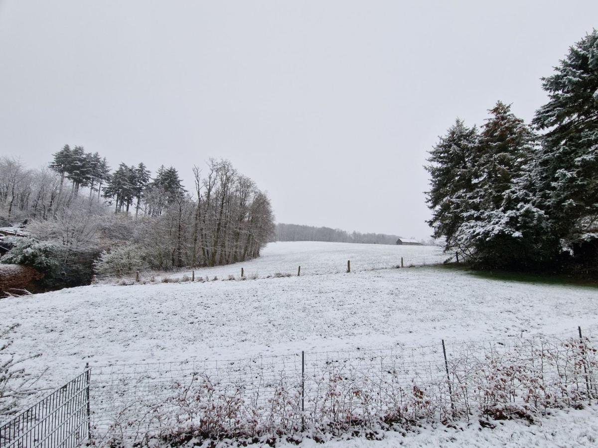 Ferienwohnung Arnsberger Wald Möhnesee Exteriör bild